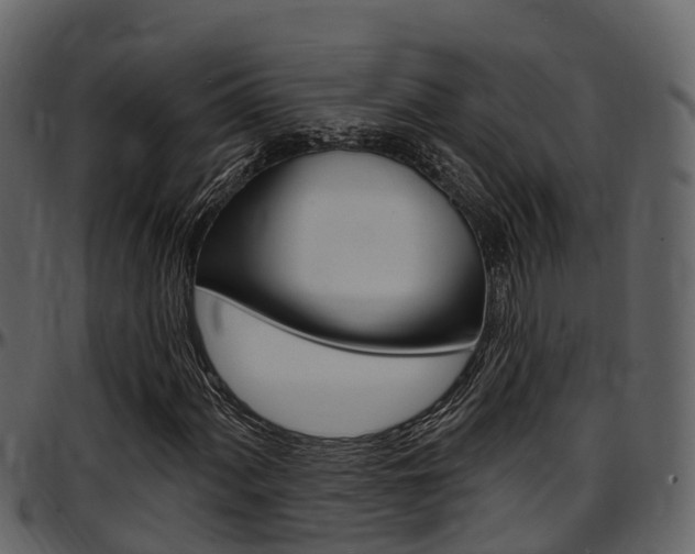 X0000097651060200802290841