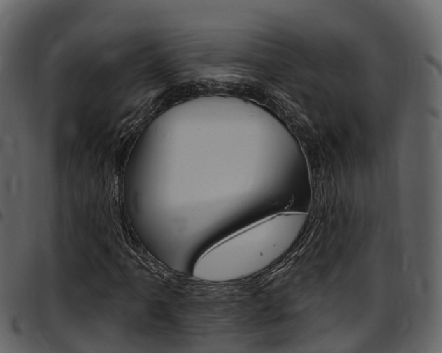 X0000097651061200802290841