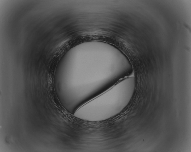 X0000097651062200802290841