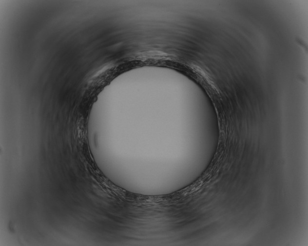 X0000097651063200802290841