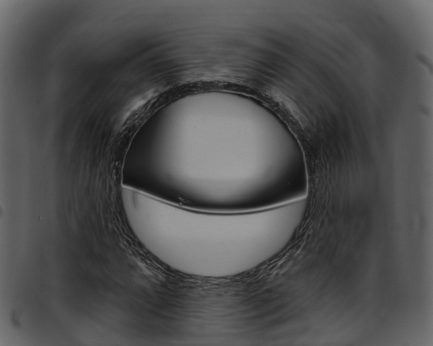 X0000097651064200802290841