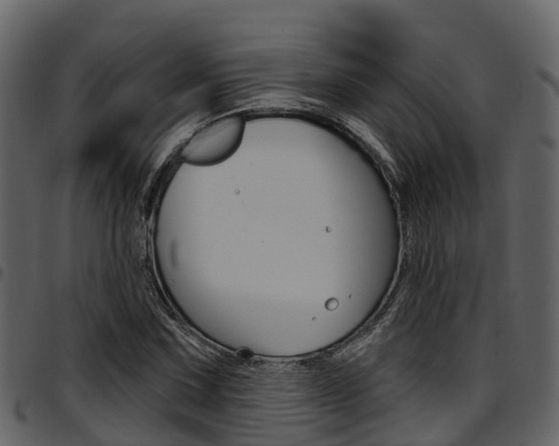 X0000097651067200802290841