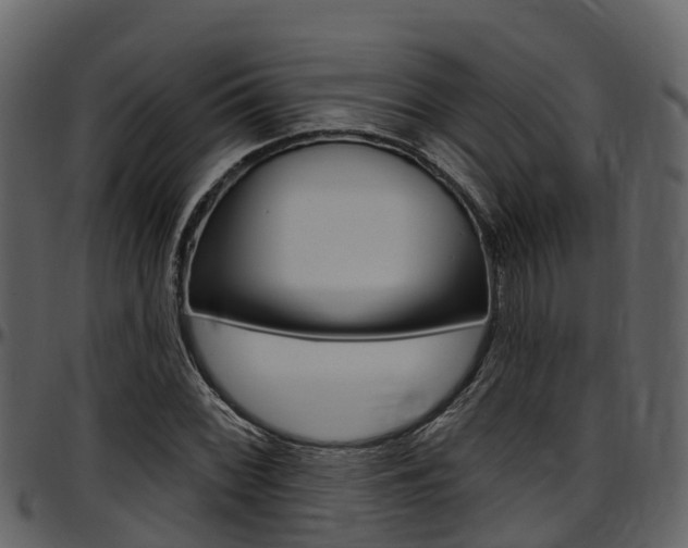 X0000097651068200802290841