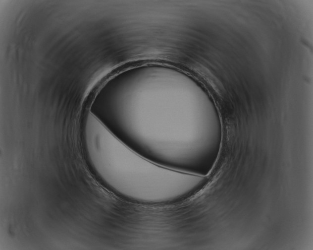 X0000097651069200802290841