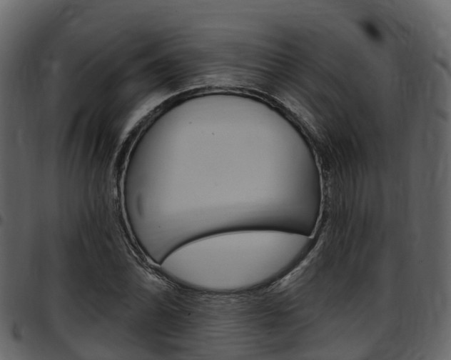 X0000097651070200802290841