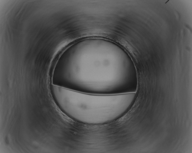 X0000097651072200802290840