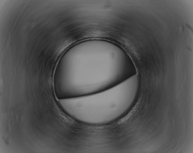 X0000097651073200802290840