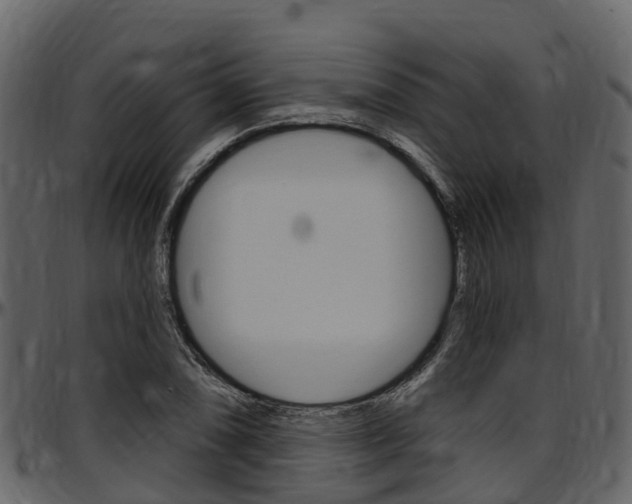 X0000097651074200802290840