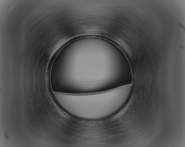 X0000097651077200802290840