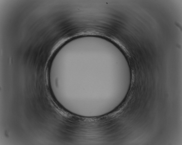 X0000097651078200802290840