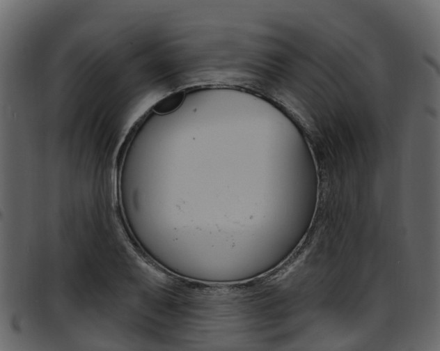 X0000097651079200802290840