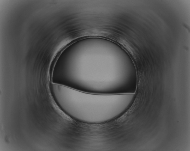 X0000097651080200802290840