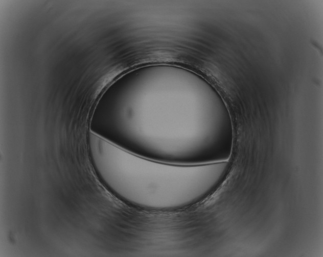 X0000097651081200802290840