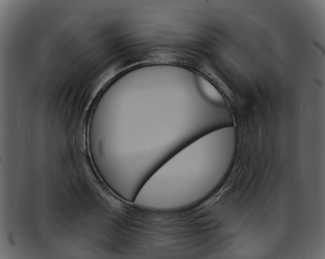 X0000097651083200802290840