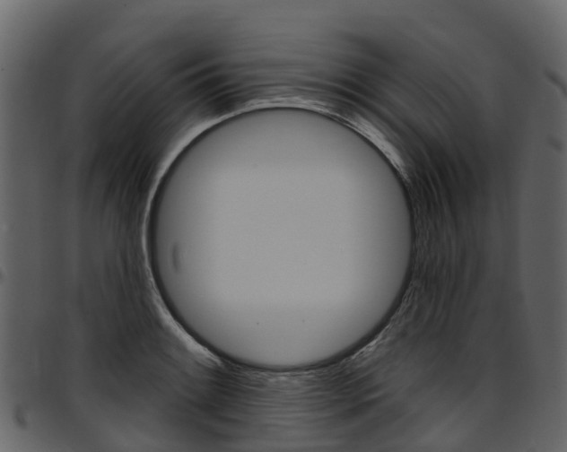 X0000097651084200802290840