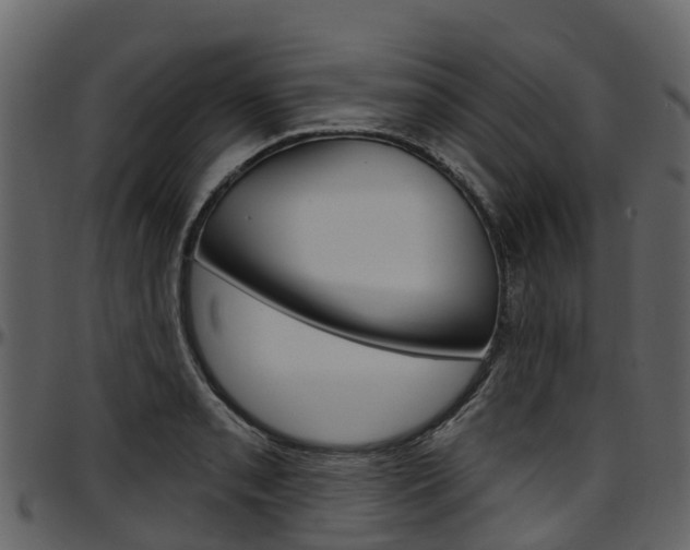 X0000097651085200802290840