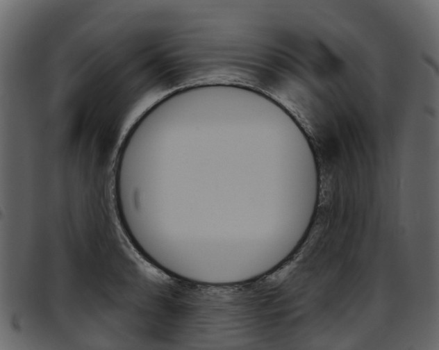 X0000097651086200802290840