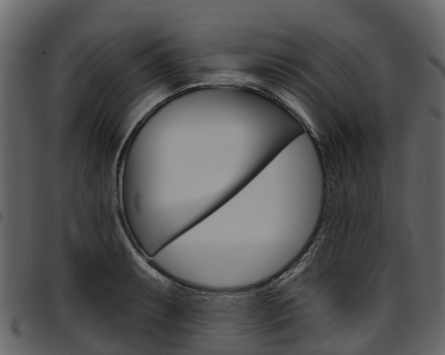 X0000097651087200802290840