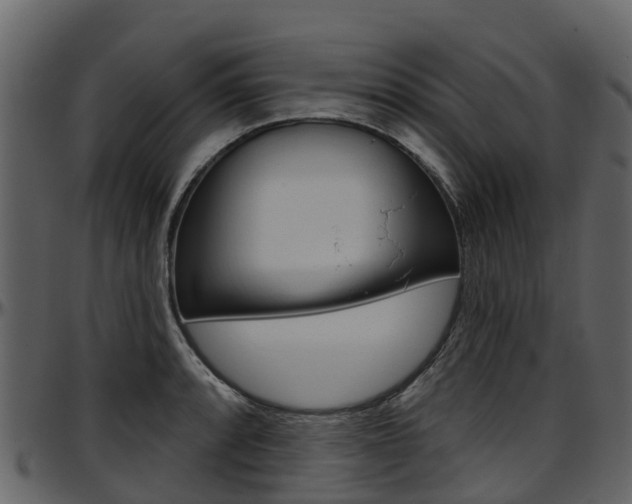 X0000097651088200802290840