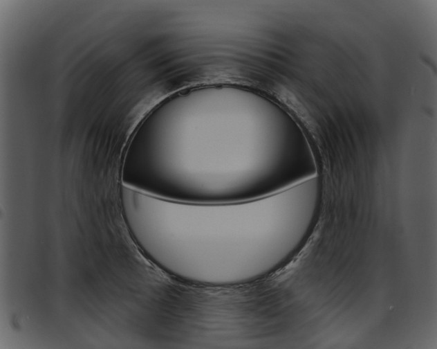 X0000097651089200802290840