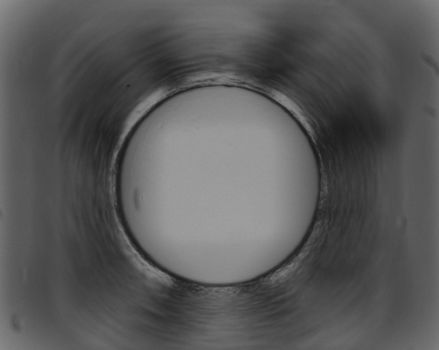 X0000097651090200802290840