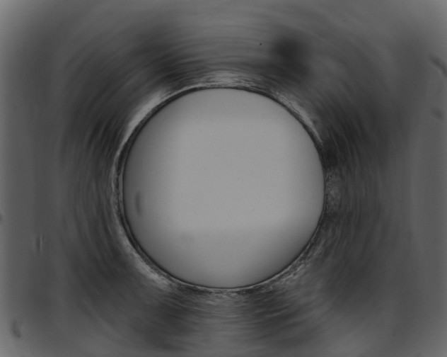 X0000097651091200802290840