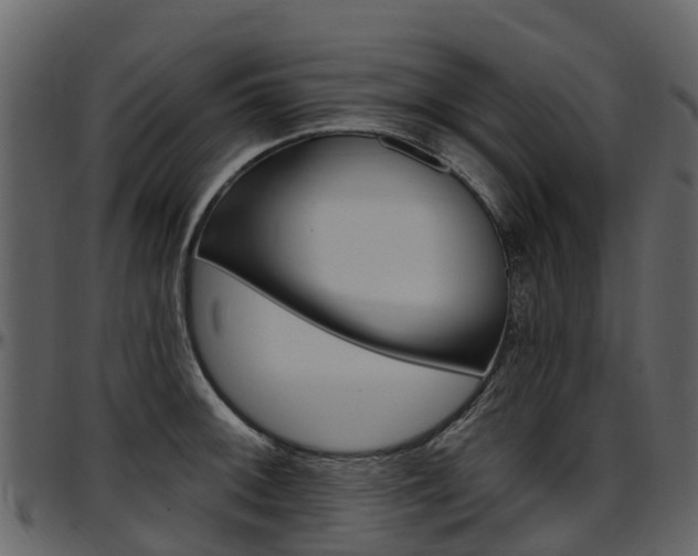 X0000097651092200802290840