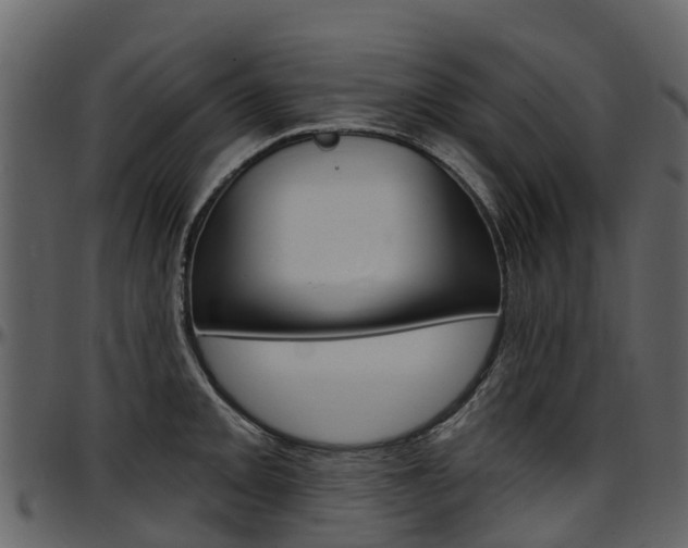 X0000097651093200802290840
