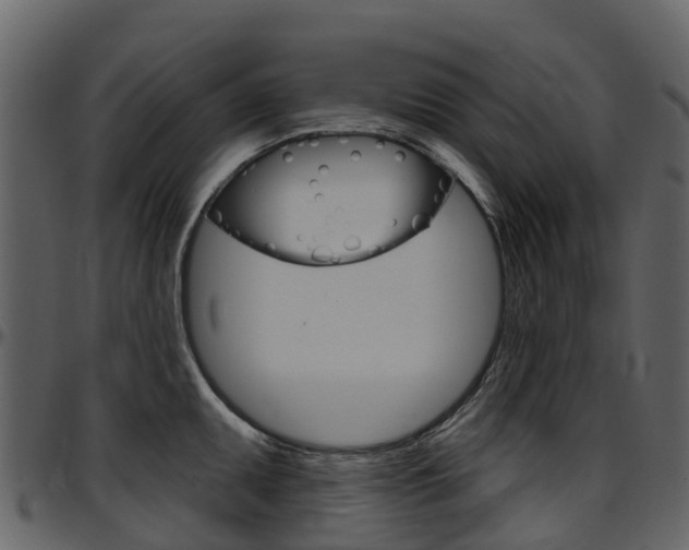 X0000097651095200802290840