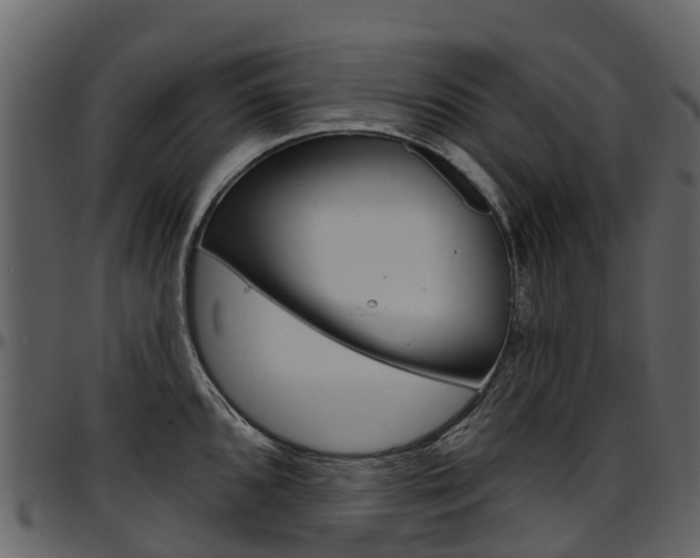 X0000097651096200802290840