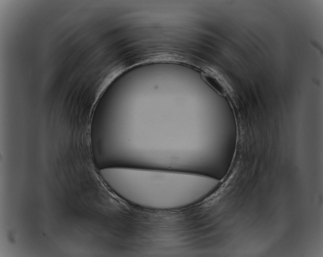 X0000097651097200802290840