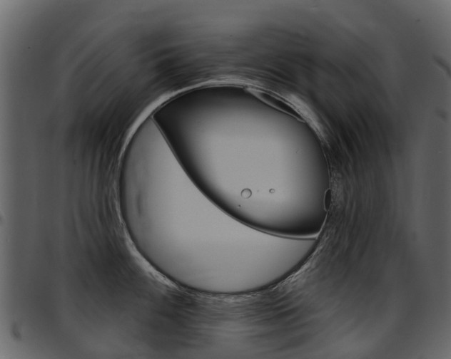X0000097651100200802290840