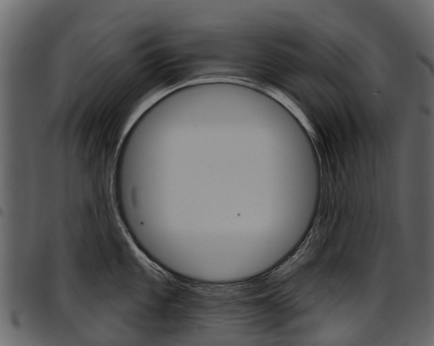 X0000097651101200802290840