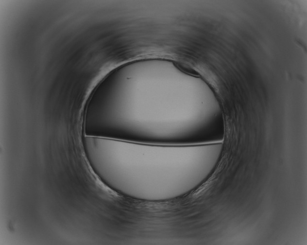 X0000097651102200802290840