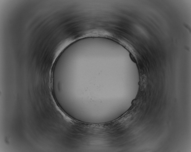 X0000097651103200802290840