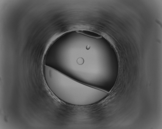 X0000097651104200802290840