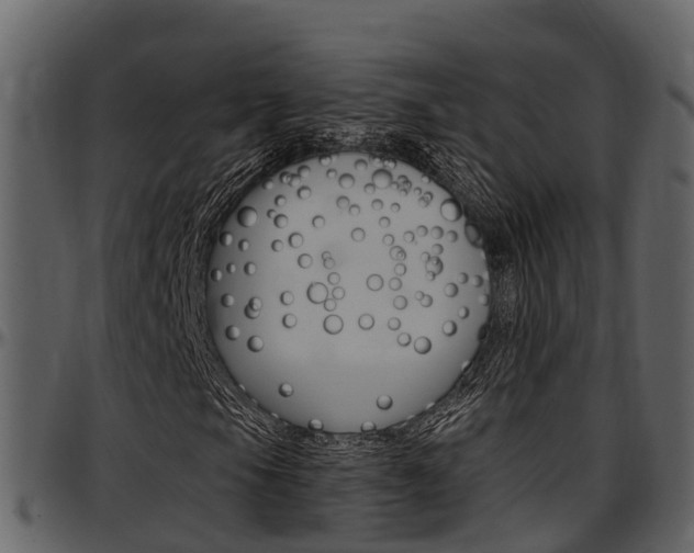 X0000097651105200802290839