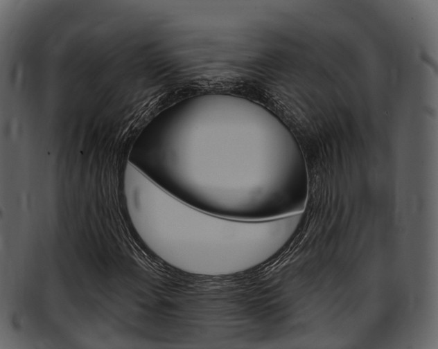 X0000097651108200802290839