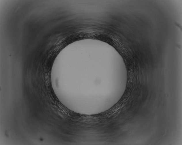X0000097651109200802290839