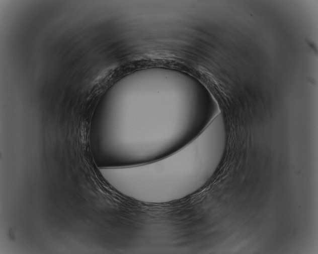 X0000097651110200802290839