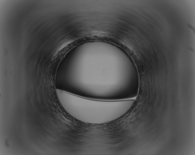 X0000097651112200802290839