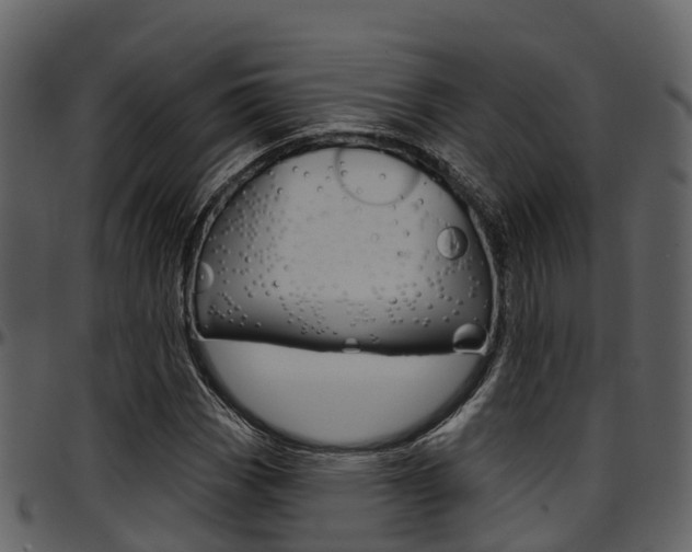 X0000097651113200802290839