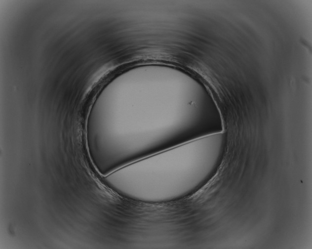 X0000097651115200802290839