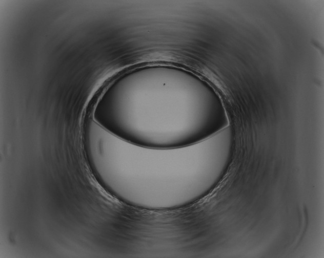 X0000097651116200802290839
