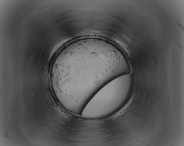X0000097651117200802290840
