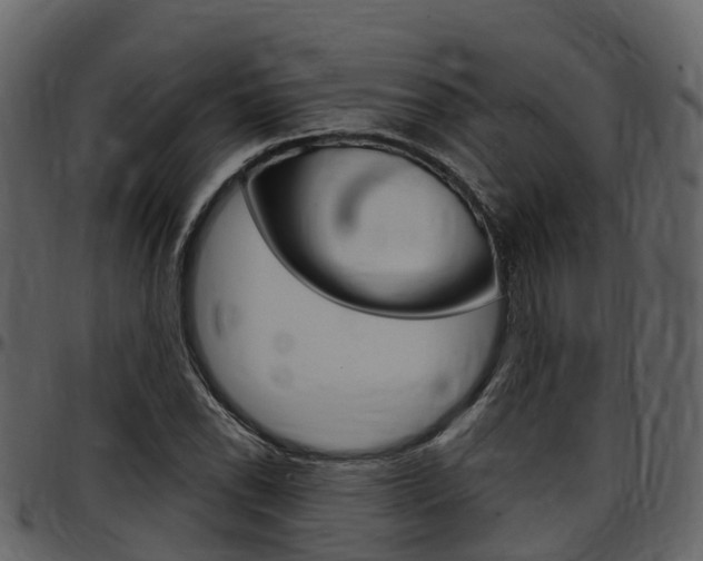 X0000097651118200802290840