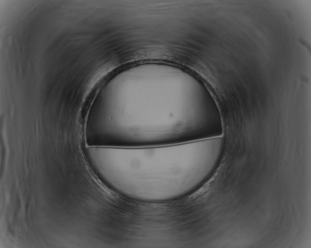 X0000097651119200802290840