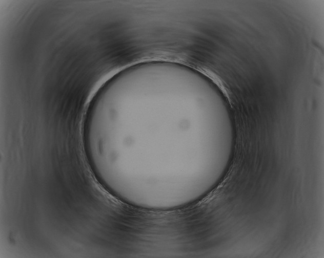 X0000097651120200802290840