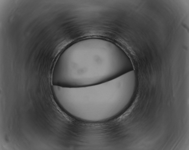 X0000097651121200802290840