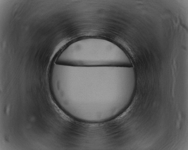 X0000097651122200802290840